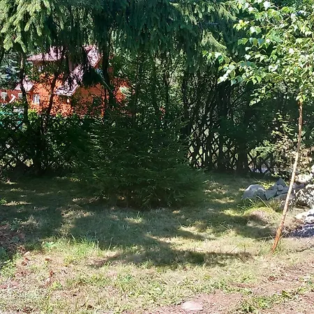 W Bogaczewie Nad Jeziorem Narie Bogaczewo (Elblag)